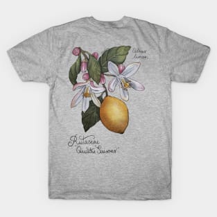 Citrus Lemon Botanical Illustration blossom and leaves T-Shirt
